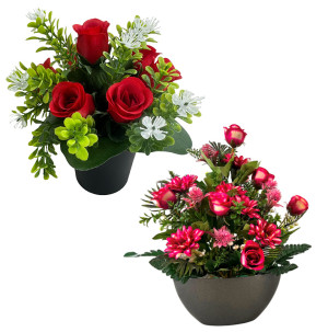 /ext/img/product/bonnes-affaires/26_10_07/100_plantes_1.jpg