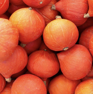 /ext/img/product/bonnes-affaires/26_10_07/200_courge_1.jpg