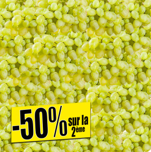 /ext/img/product/bonnes-affaires/26_10_07/200_raisins_1.jpg
