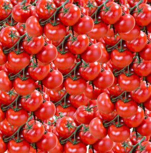 /ext/img/product/bonnes-affaires/26_10_07/200_tomates1_1.jpg