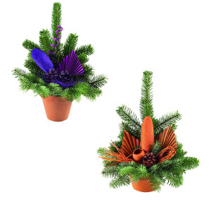 /ext/img/product/bonnes-affaires/26_10_07/500_composition1_1.jpg