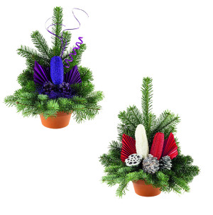 /ext/img/product/bonnes-affaires/26_10_07/500_grande_1.jpg