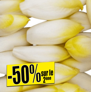 /ext/img/product/bonnes-affaires/26_10_12/200_endives_1.jpg