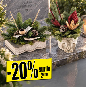 /ext/img/product/bonnes-affaires/26_10_14/500_arrangement1_1.jpg