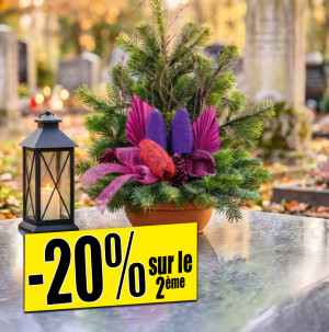 /ext/img/product/bonnes-affaires/26_10_14/500_arrangement_1.jpg