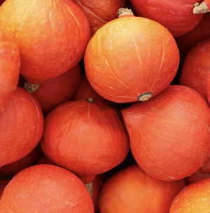/ext/img/product/bonnes-affaires/26_10_21/200_courge_1.jpg