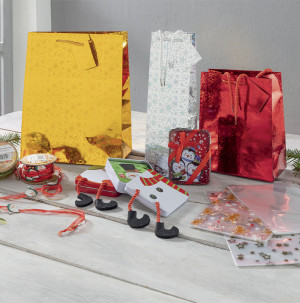 /ext/img/product/bonnes-affaires/26_10_21/300_accessoire_1.jpg