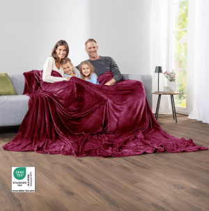 /ext/img/product/bonnes-affaires/26_10_21/400_plaid1_1.jpg