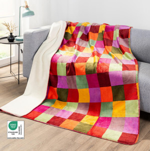 /ext/img/product/bonnes-affaires/26_10_21/400_plaid_1.jpg