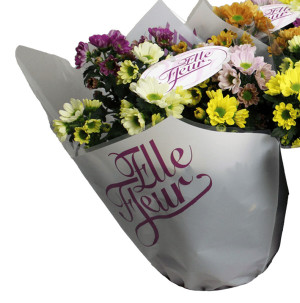 /ext/img/product/bonnes-affaires/26_10_21/500_chrysanthemes_1.jpg