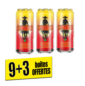 /ext/img/product/bonnes-affaires/26_10_23/100_biere1_1.jpg