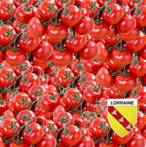 /ext/img/product/bonnes-affaires/26_10_28/200_tomates_1.jpg