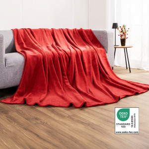 /ext/img/product/bonnes-affaires/26_10_28/300_couverture_1.jpg