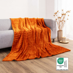 /ext/img/product/bonnes-affaires/26_10_28/300_plaid1_1.jpg
