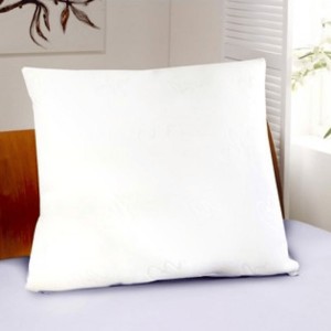 /ext/img/product/bonnes-affaires/26_11_04/100_oreiller_1.jpg