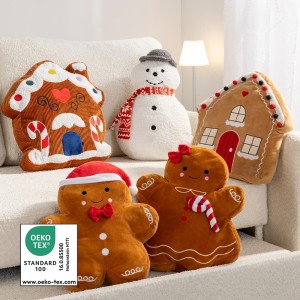 /ext/img/product/bonnes-affaires/26_11_04/300_coussin_1.jpg