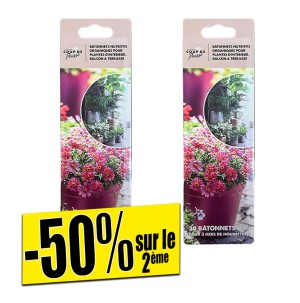 /ext/img/product/bonnes-affaires/26_11_04/500_batonnets_1.jpg