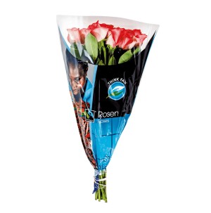 /ext/img/product/bonnes-affaires/26_11_04/500_bouquet_1.jpg