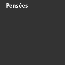 /ext/img/product/bonnes-affaires/26_10_07/600_pensees.png