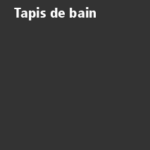 /ext/img/product/bonnes-affaires/26_08_10/100_tapis2.png
