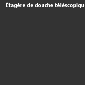 /ext/img/product/bonnes-affaires/26_08_10/100_etagere_1.jpg