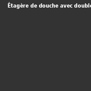 /ext/img/product/bonnes-affaires/26_08_10/100_etagere1_1.jpg