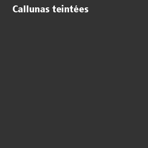 /ext/img/product/bonnes-affaires/26_10_07/600_callunas_1.jpg