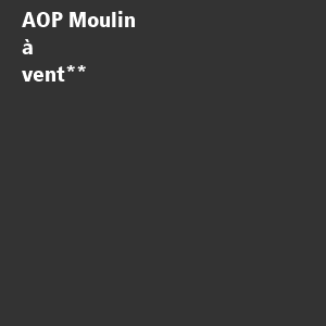/ext/img/product/bonnes-affaires/26_11/100_aop_1.jpg