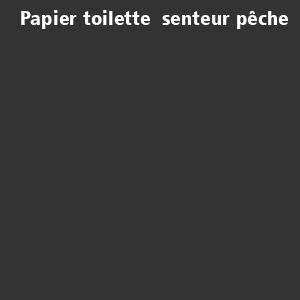 /ext/img/product/bonnes-affaires/26_08_10/200_papier_1.jpg
