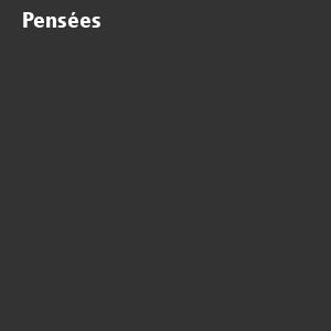 /ext/img/product/bonnes-affaires/26_10_07/600_pensees_1.jpg