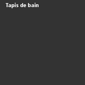 /ext/img/product/bonnes-affaires/26_08_10/100_tapis2_1.jpg