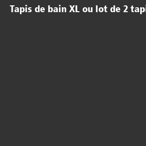 /ext/img/product/bonnes-affaires/26_11_02/100_tapis_1.jpg